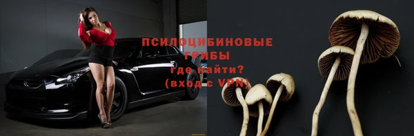 ГАЛЛЮЦИНОГЕННЫЕ ГРИБЫ Михайловка