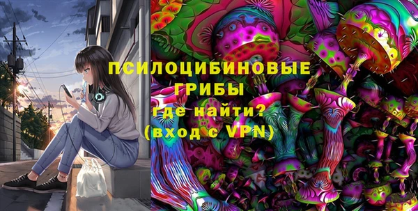 дурь Дегтярск