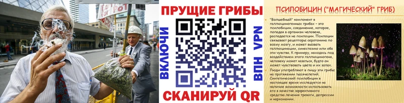 Псилоцибиновые грибы Cubensis  наркота  Мышкин 